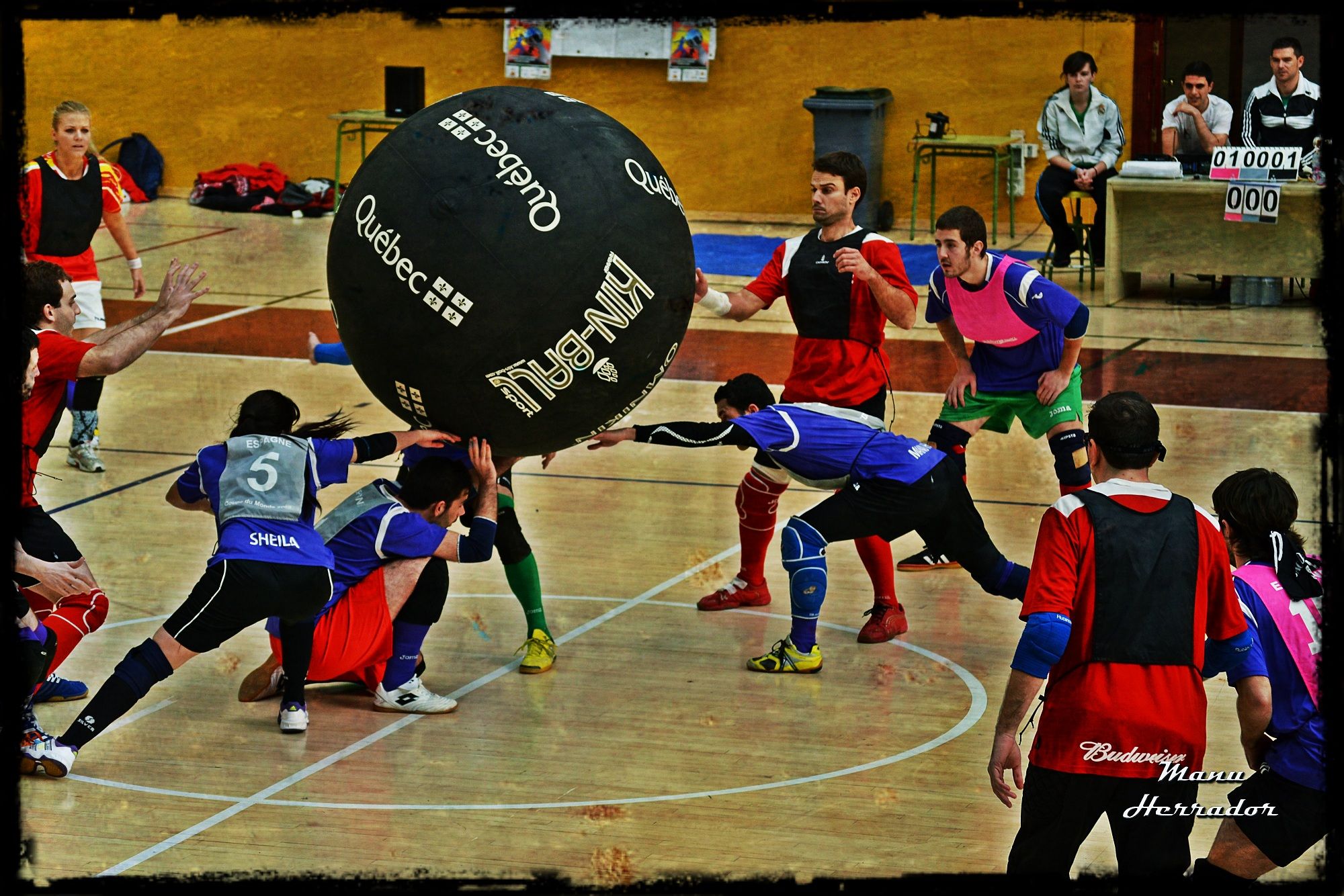 Kin-Ball Sport